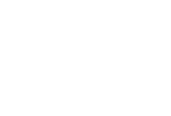 NitroDev